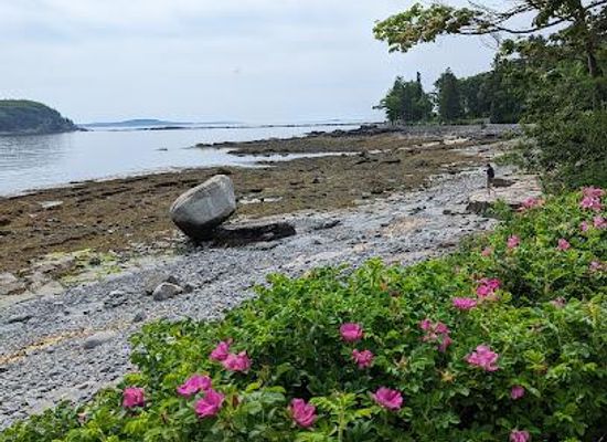 maine/bar-harbor/attraction/grant-park