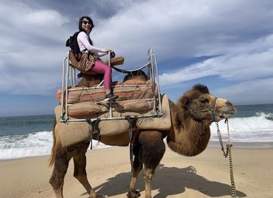mexico/cabo-san-lucas/attraction/picacho-adventures