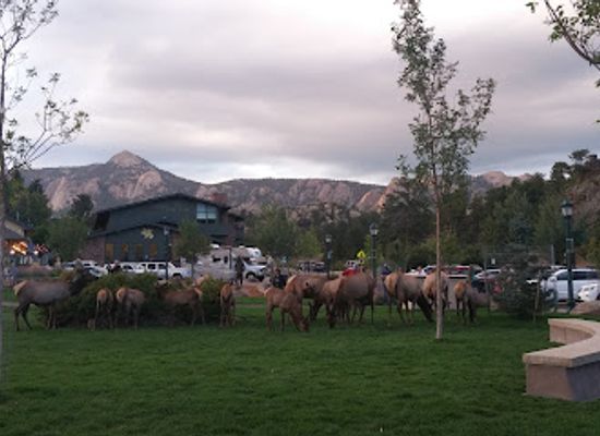colorado/estes-park/attraction/bond-park