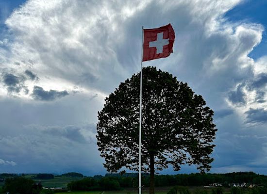 switzerland/thurgau/attraction/kugelbaum-hello-swiss