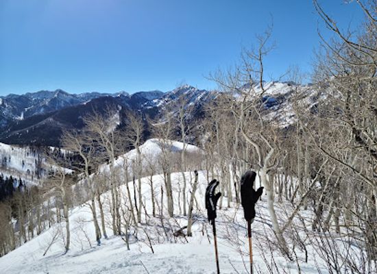 utah/wasatch-front/attraction/mill-d-north-snotel