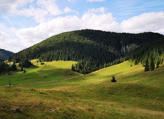 romania/bihor/attraction/lost-world-plateau-karst