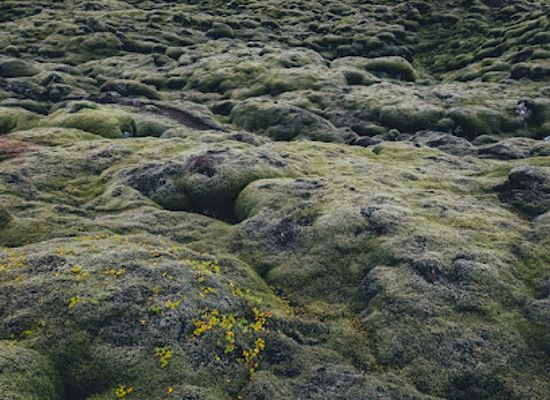 iceland/southern-region/attraction/gonguleio-um-eldhraun