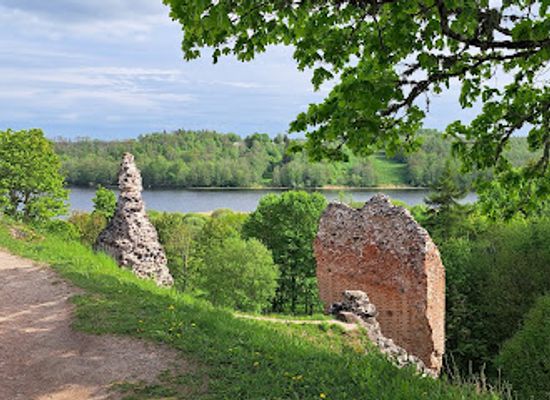 estonia/jogevamaa/attraction/viljandi-castle-ruins