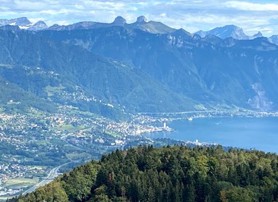 switzerland/lake-geneva-region/attraction/tour-plein-ciel