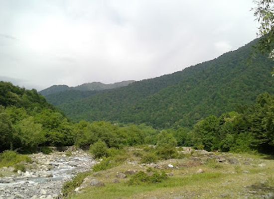 azerbaijan/shaki-zaqatala-region/attraction/ilisu-state-reserve
