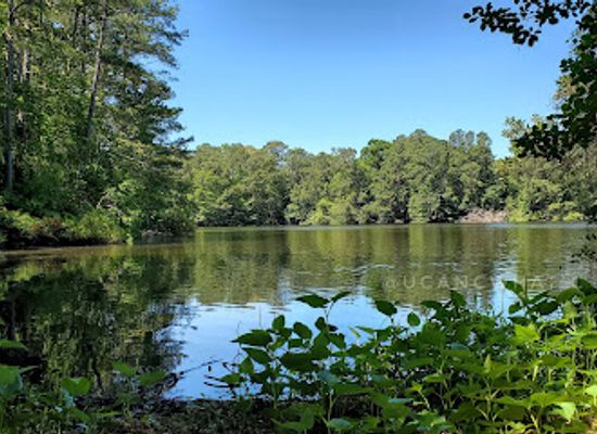 virginia/great-dismal-swamp-national-wildlife-refuge/attraction/lake-meade-park