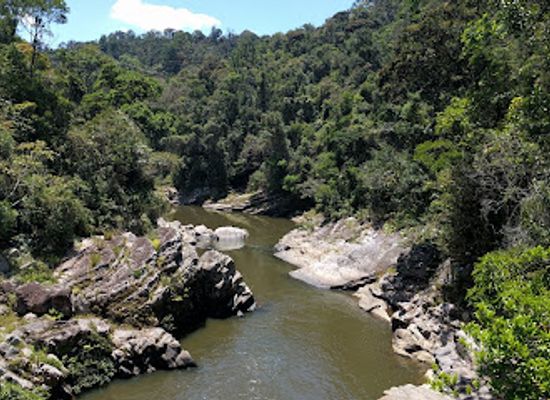 madagascar/fianarantsoa/attraction/ranomafana-soarano-trail