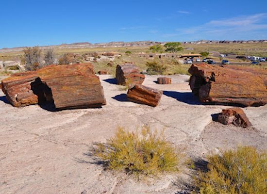 arizona/petrified-forest-national-park/attraction/giant-logs-trail