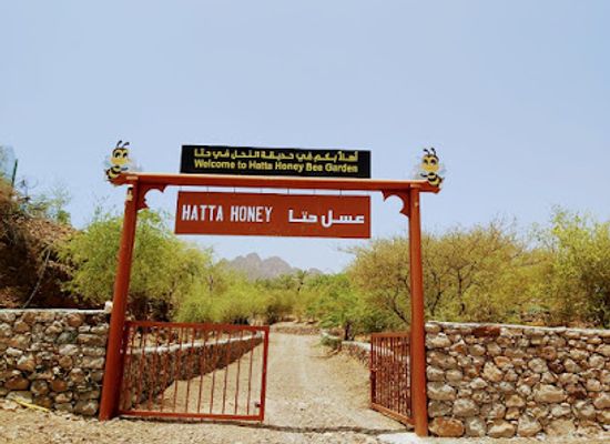 united-arab-emirates/hatta/attraction/hatta-honey-bee-discovery-centre