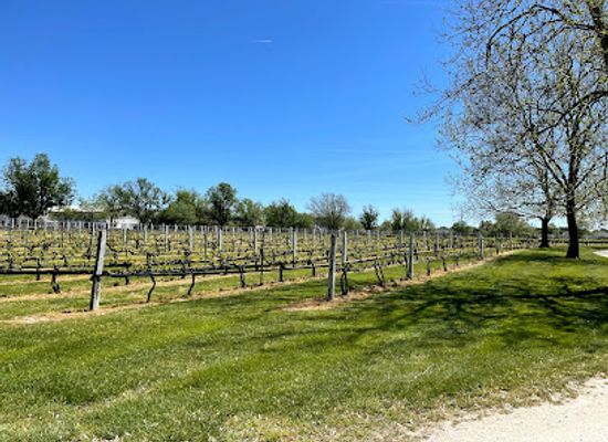 delaware/cape-henlopen-state-park/attraction/nassau-valley-vineyards-winery