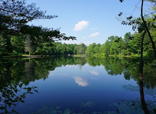 massachusetts/metrowest/attraction/bowers-springs