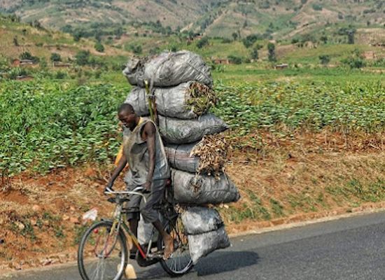 benin/cotonou/attraction/benin-en-image
