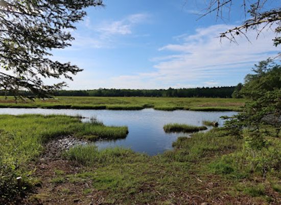 maine/mount-desert-island/attraction/stone-barn-farm