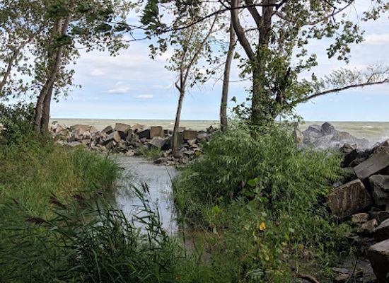 ohio/lake-erie-islands/attraction/sheldon-marsh-state-nature-preserve
