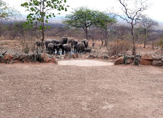 tanzania/iringa/attraction/michael-safari-organising-bush-safari