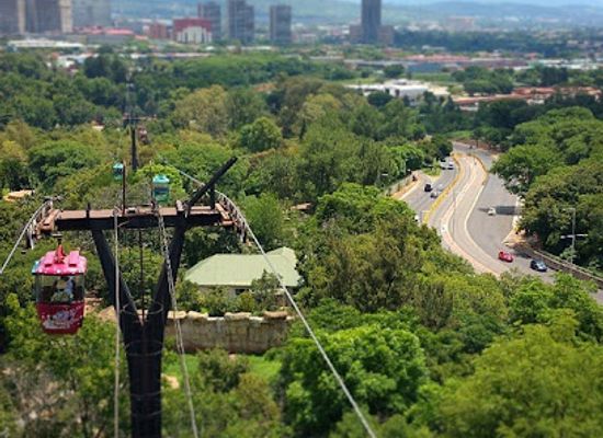 south-africa/pretoria/attraction/national-zoological-gardens-of-south-africa