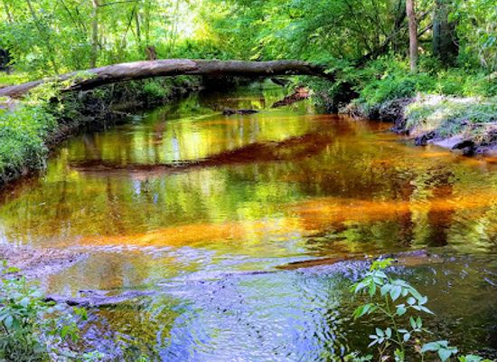 maryland/blackwater-national-wildlife-refuge/attraction/linchester-mill