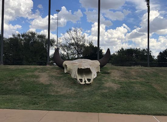 texas/abilene/attraction/giant-buffalo-skull