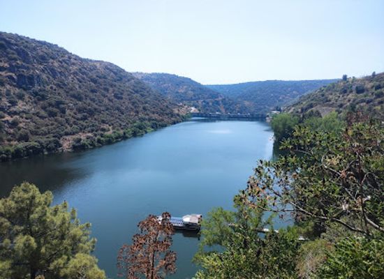 portugal/tras-os-montes/attraction/international-biological-station-duerodouro