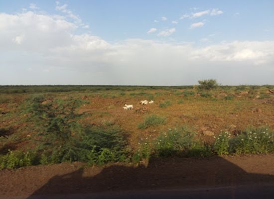 ethiopia/amhara-region/attraction/mile-serdo-wildlife-reserve