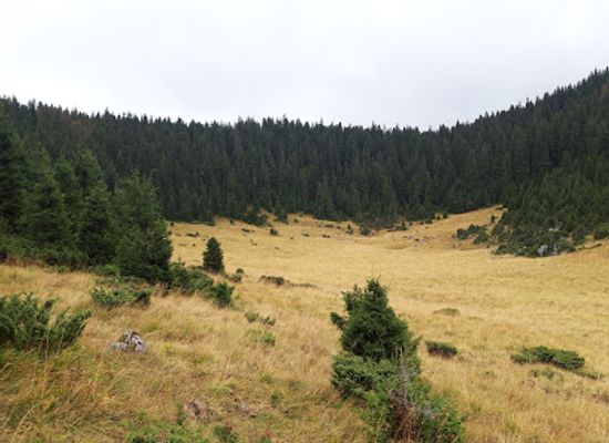romania/bihor-mountains/attraction/humpleu-cave