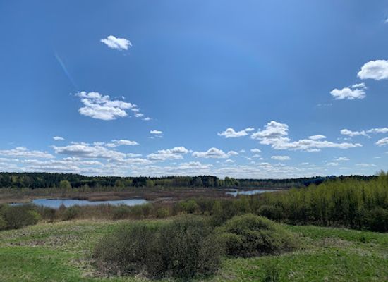 poland/masurian-lake-district/attraction/bagno-nadrowskie