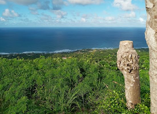 barbados/south-coast/attraction/hackletons-cliff