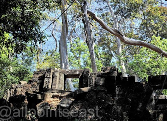 laos/pakse/attraction/wat-tomo