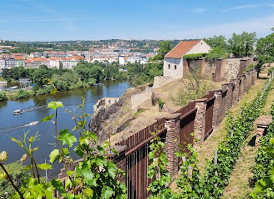 czechia/palava/attraction/vysehrad