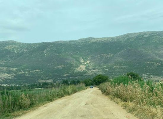 lebanon/beqaa-valley/attraction/sayyida-khawla-shrine