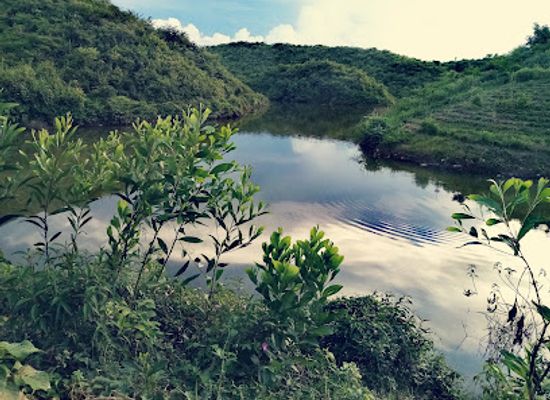 bangladesh/sylhet-division/attraction/padmashara-cha-bagan-lake