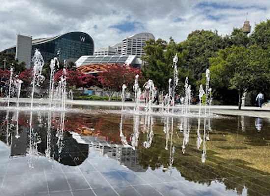 australia/sydney/darling-harbour/attraction/the-canopy-artwork
