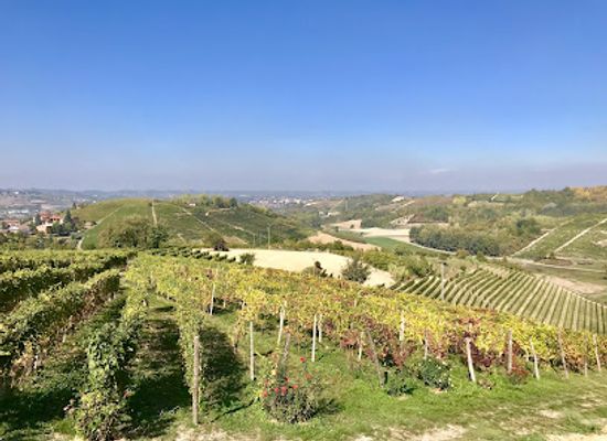 italy/langhe/attraction/hilberg-pasquero