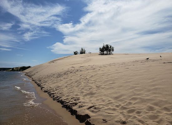 michigan/silver-lake-sand-dunes/attraction/silver-lake-state-park