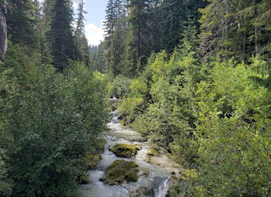 washington/northern-cascades/attraction/mt-baker-national-recreation-area