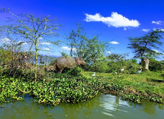 kenya/naivasha/attraction/watamu-boat-rides-naivasha