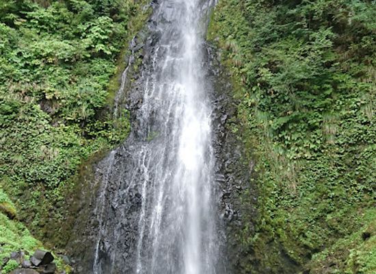 japan/iwami/attraction/amedaki-falls