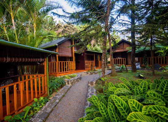 mauritius/plaines-wilhems/attraction/domaine-l-arbre-du-voyageur