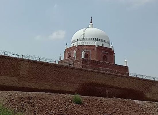 pakistan/multan/attraction/bird-scenery
