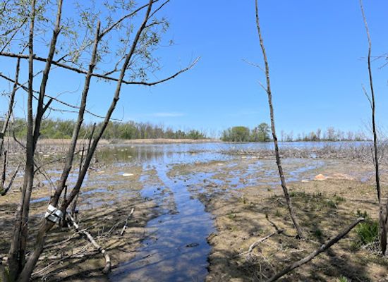 michigan/the-thumb/attraction/kernan-memorial-nature-sanctuary