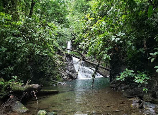 costa-rica/osa-peninsula/attraction/parque-nacional-barbilla