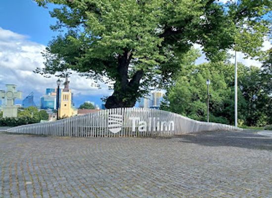 estonia/tallinn-old-town/attraction/tallinna-tahis