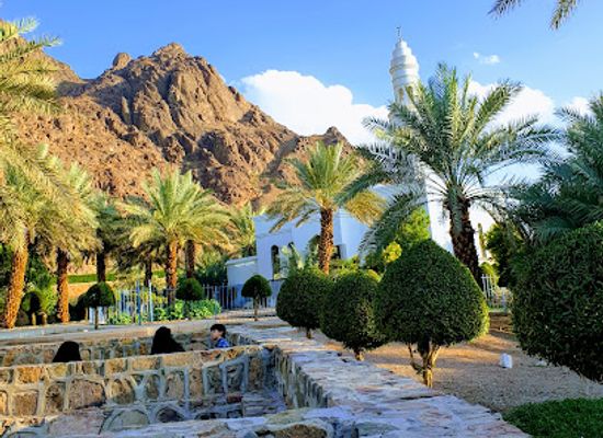 saudi-arabia/medina/attraction/prince-mohammed-bin-abdul-aziz-park