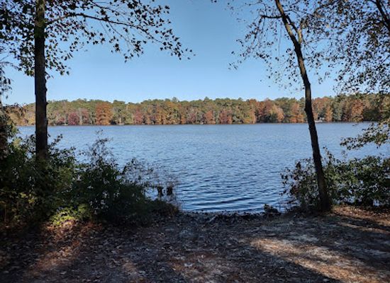 delaware/trap-pond-state-park/attraction/baldcypress-nature-center