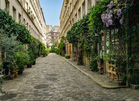 france/paris/attraction/passage-lhomme