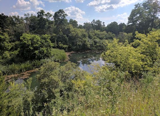 illinois/elgin/attraction/bluff-spring-fen