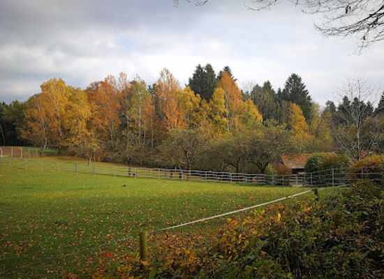 austria/muhlviertel/attraction/walding-zoo