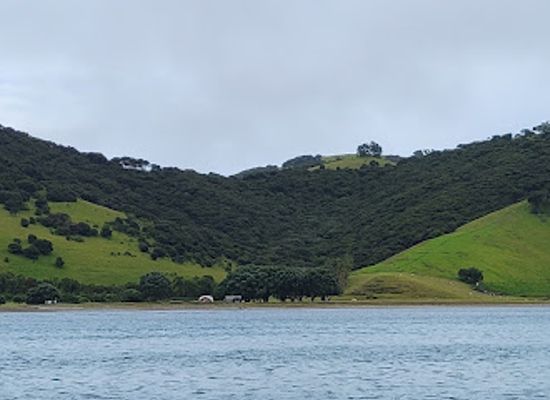 new-zealand/paihia/attraction/bay-of-islands-snorkelling-ltd