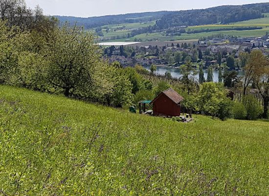 switzerland/thurgau/attraction/sandsteinhohlen